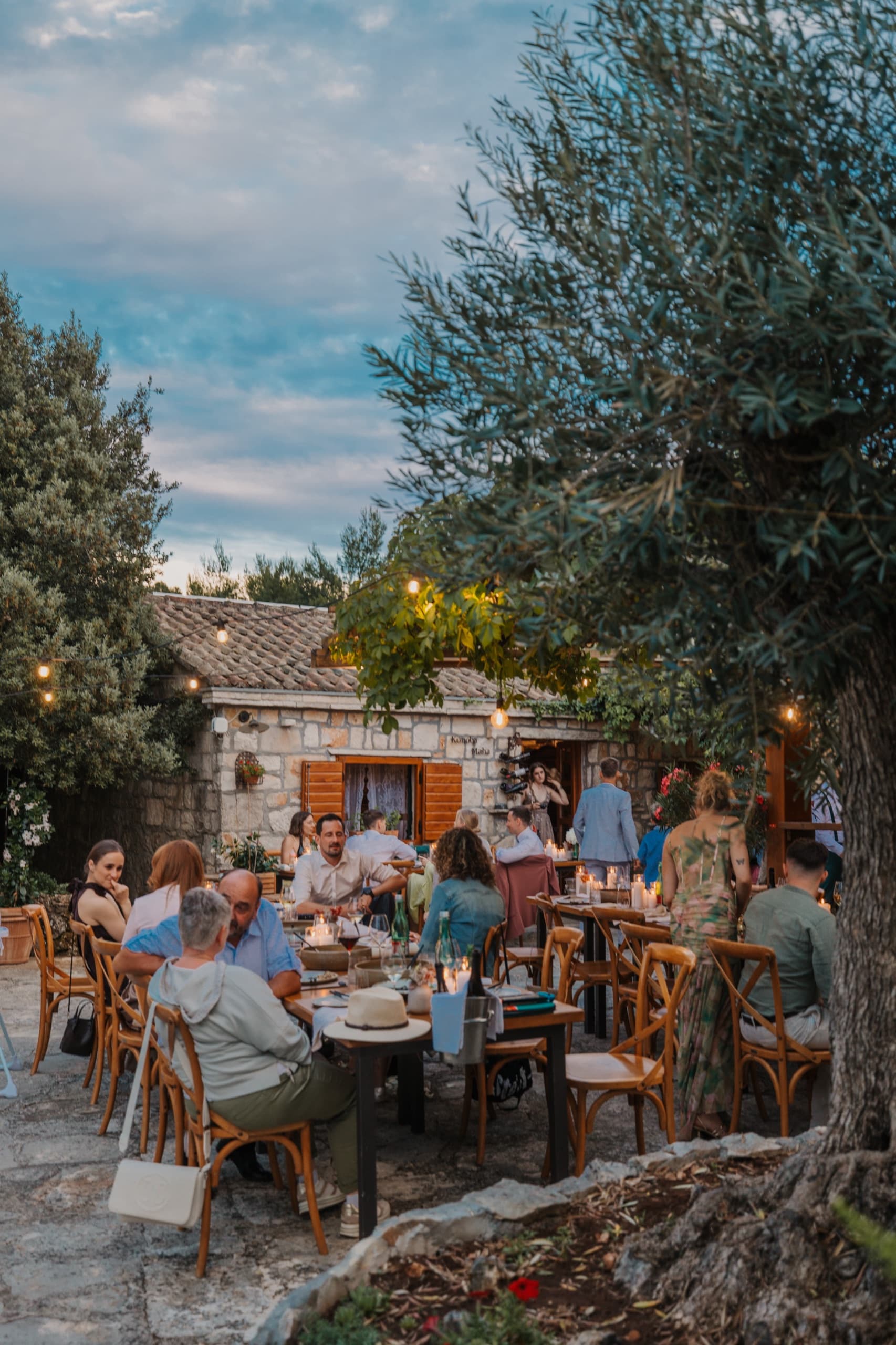 Long reception table set for guests beneath the olive trees at dusk